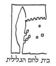 dev-alarm.blh.org.il